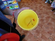 Městská policie Mladá Boleslav - prevence,bezpečnost